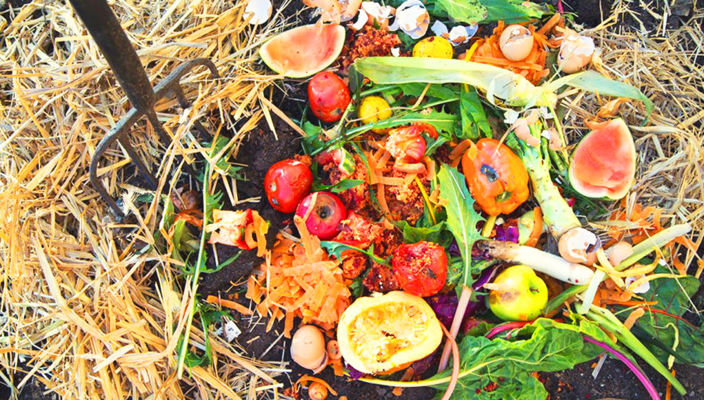 Composting One Solution To Food Waste Wasted Ie